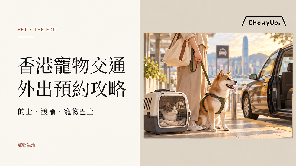 香港寵物交通,外出預約攻略;的士・渡輪・寵物巴士。