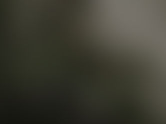如果髮絲是花,你真的有照顧好土壤嗎?