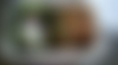 春のごはん考え中