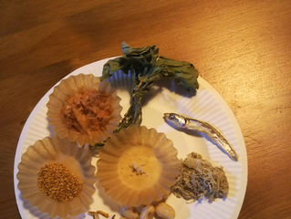 ふりかけづくり