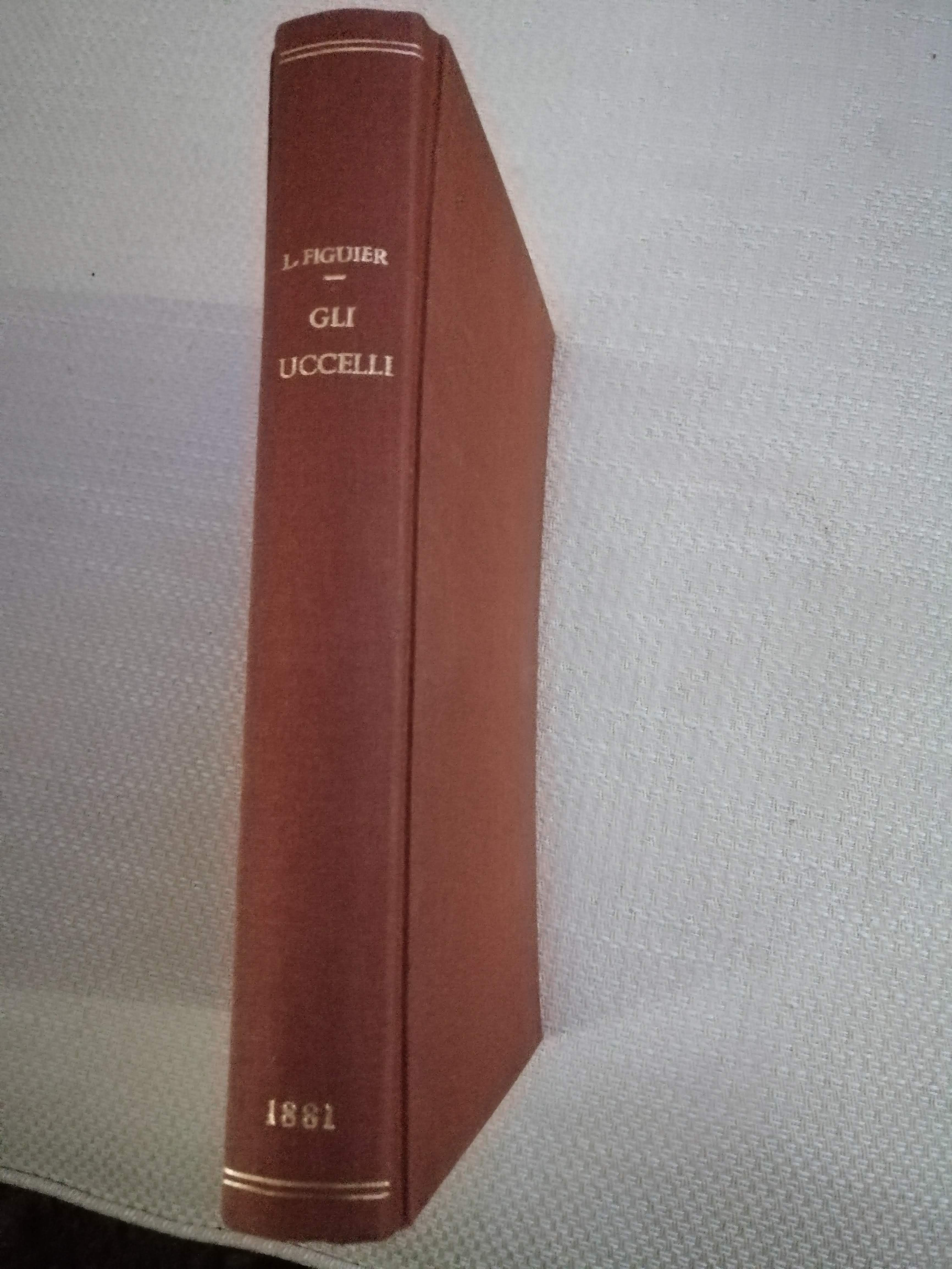 Gli uccelli 1881 di Luigi Figuier.