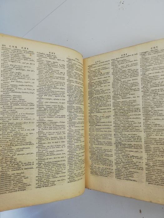 Miniatura: DIZIONARIO FRANCESE-ITALIANO  1769