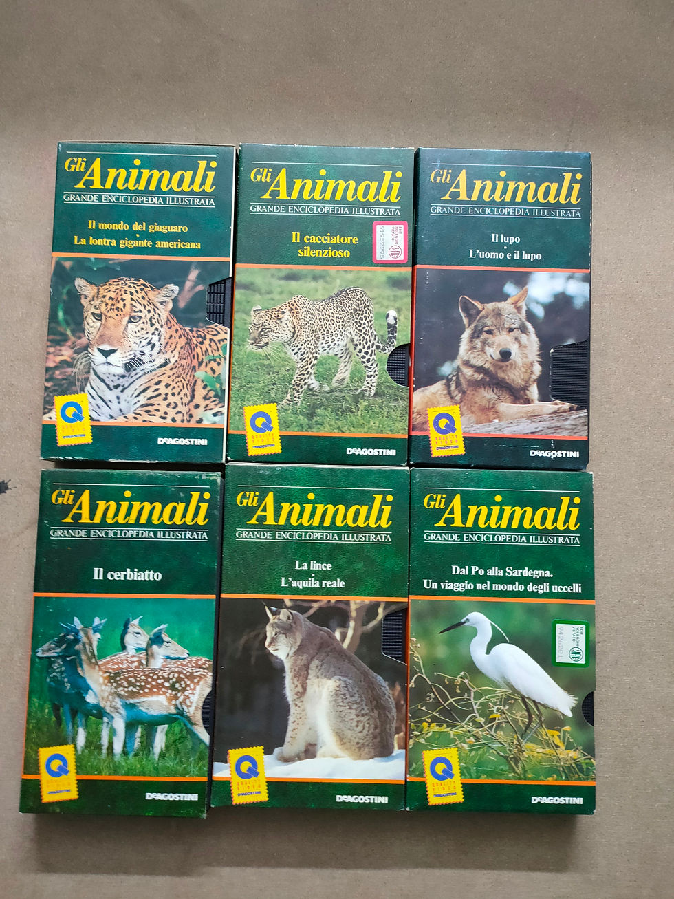 Miniatura: VIDEO  ENCICLOPEDIA  “GLI ANIMALI”