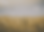 Site Banner 1 (1).png