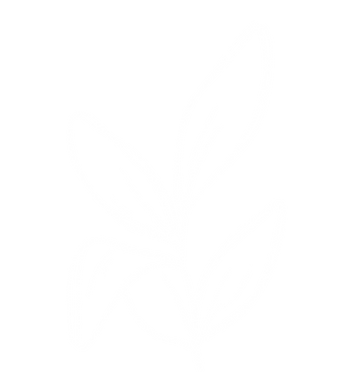 Sarah J. Hunt (6).png