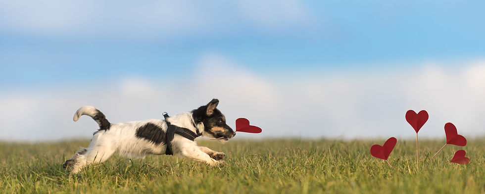 AdobeStock_134228569 (1).jpeg