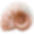Icons Webseite - 2.png
