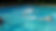 20180512_184506.jpg