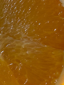 IMG_4148.jpeg