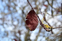 IMG_7070.JPG