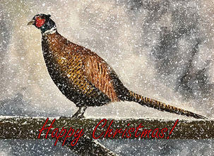 Pheasant in Winter - Happy Christmas Car