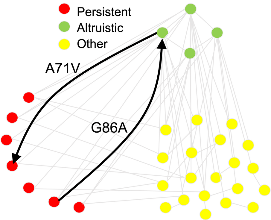 Sociovirology