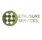_ETRUSURE SERVICES INC. Logo Transparent.png