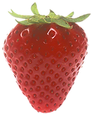 fresa