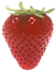 truskawka