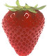 çilek
