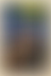 The Thin Man: Review