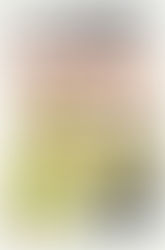 Another Thin Man: Review