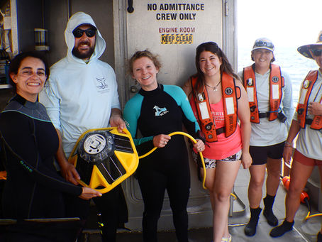 Data Buoys in the Sanctuary