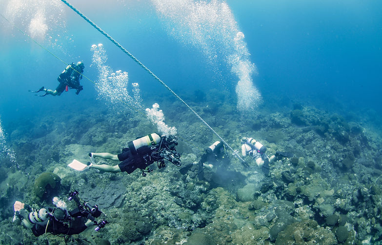 FGBNMS_2025_ForceBlue_Credit_MattMcIntoshNOAA_18 (1).jpg