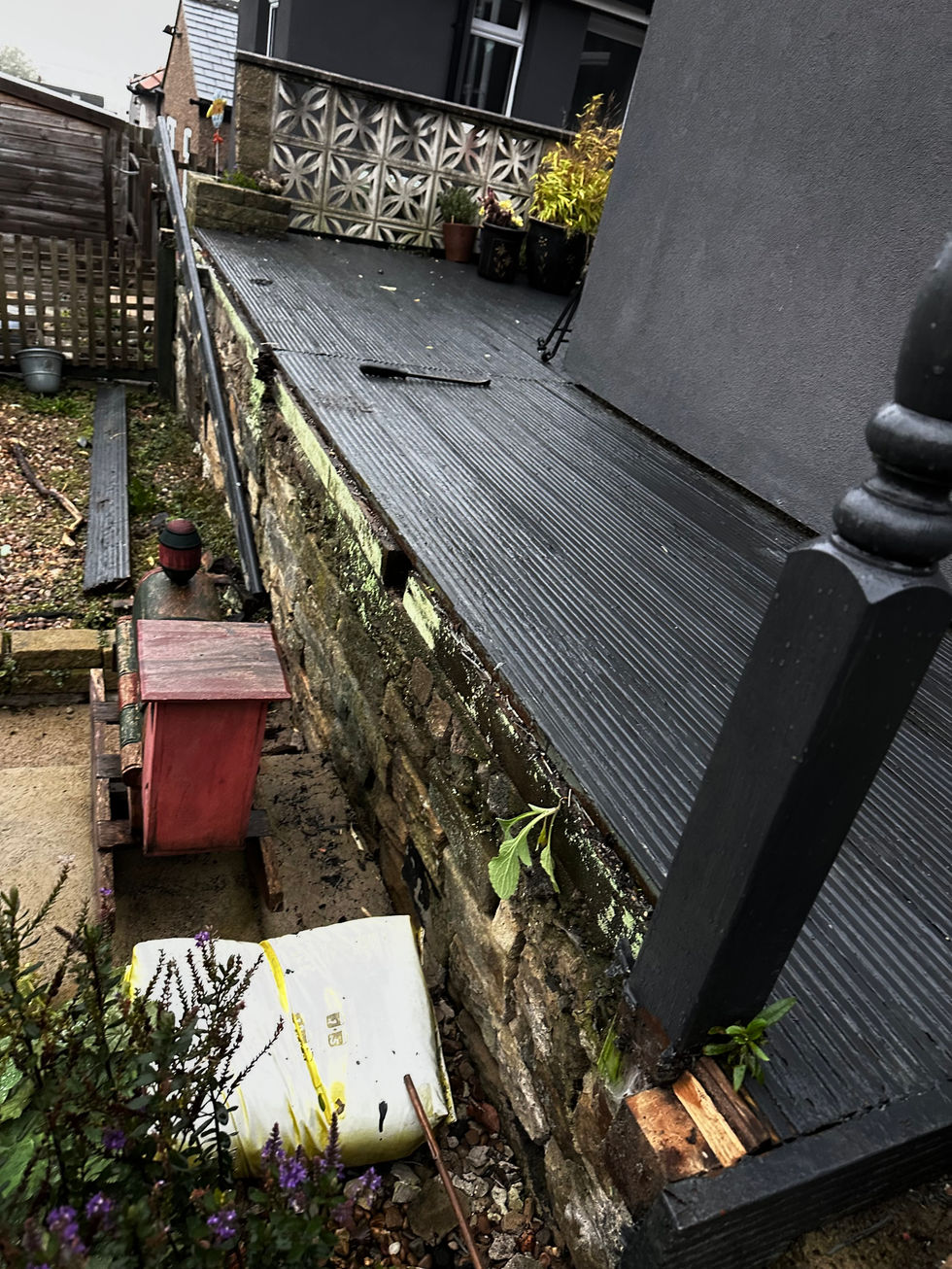 Rotten Wood
