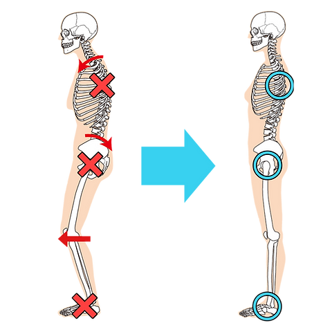 私たちが考える身体づくり Trainerworks コンディショニングスタジオ 私たちが考える身体づくり Trainerworks コンディショニングスタジオ
