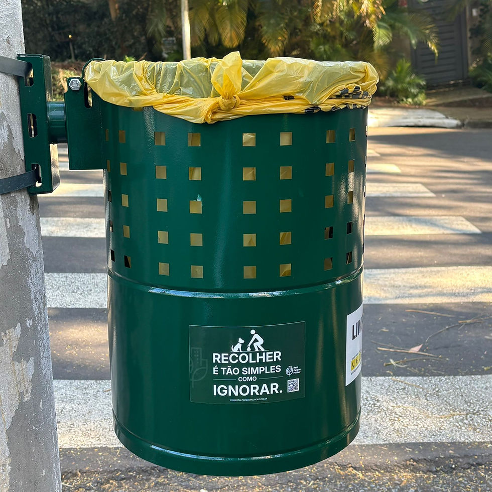 Campanha Recolher é tão simples quanto ignorar