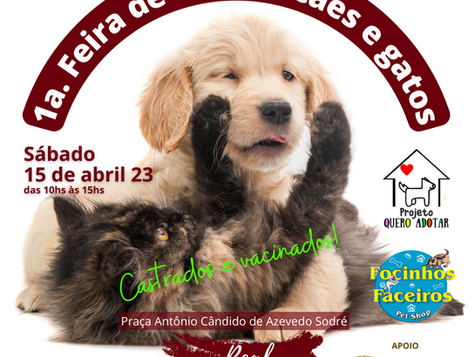 1.a Feira de Adoção de Cães e Gatos do Real Parque