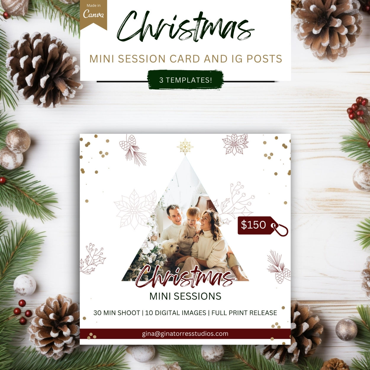 Christmas Photography mini Session Flyer and Post templates