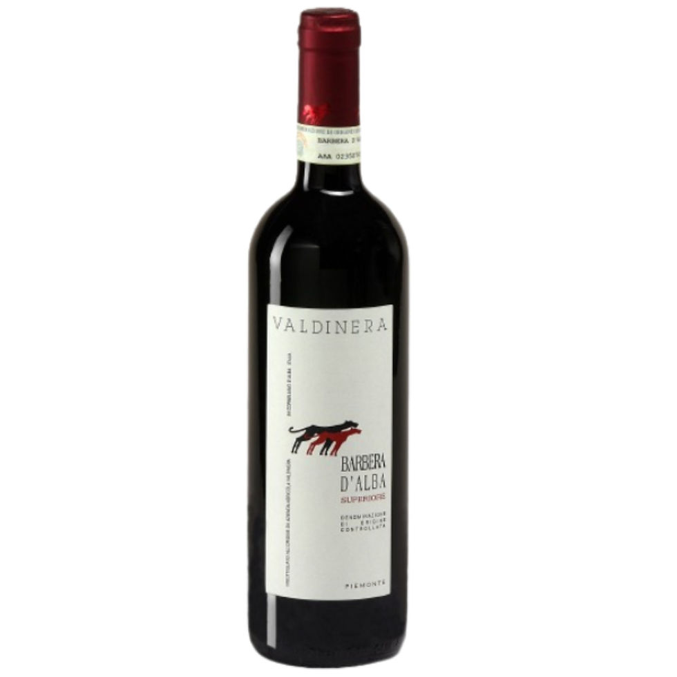Barbera dAlba DOC Superiore Valdinera 2019 Jallas Premium