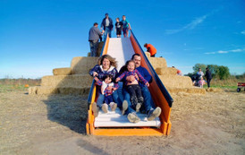 Roller Slide