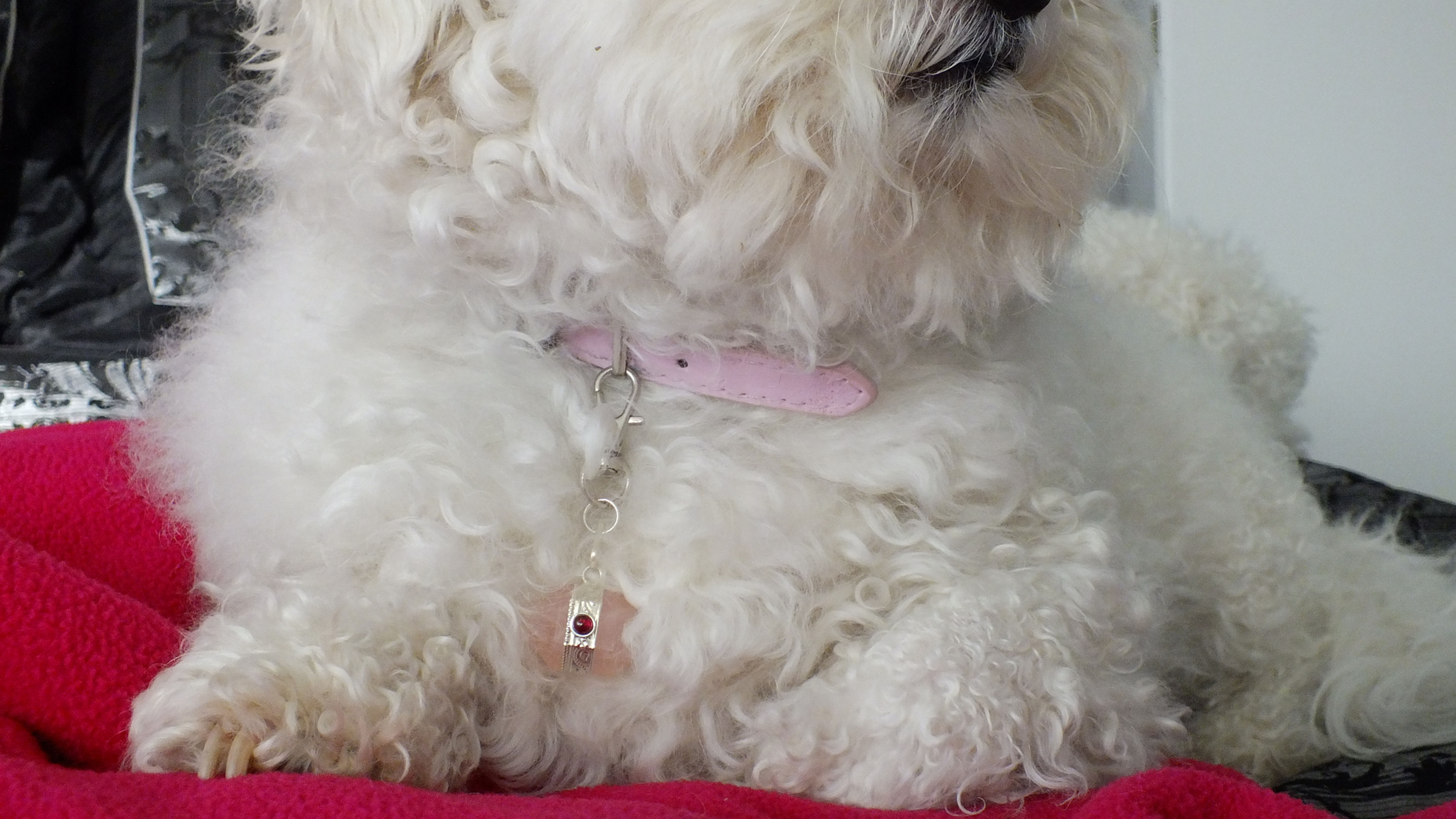 Rose Quartz Calmme Pendant