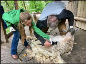 Screen Shot 2018-08-06 at 4.12.03 AM