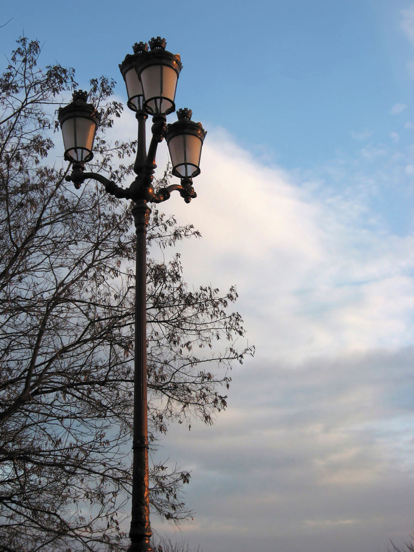 Miniature : TUILERIE