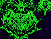 IMG_3808_edited.png