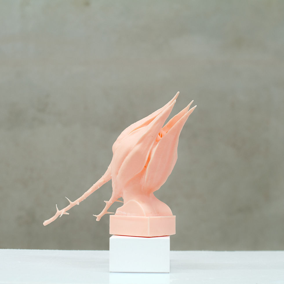 Thumbnail: Stomata Sculpture (flesh)