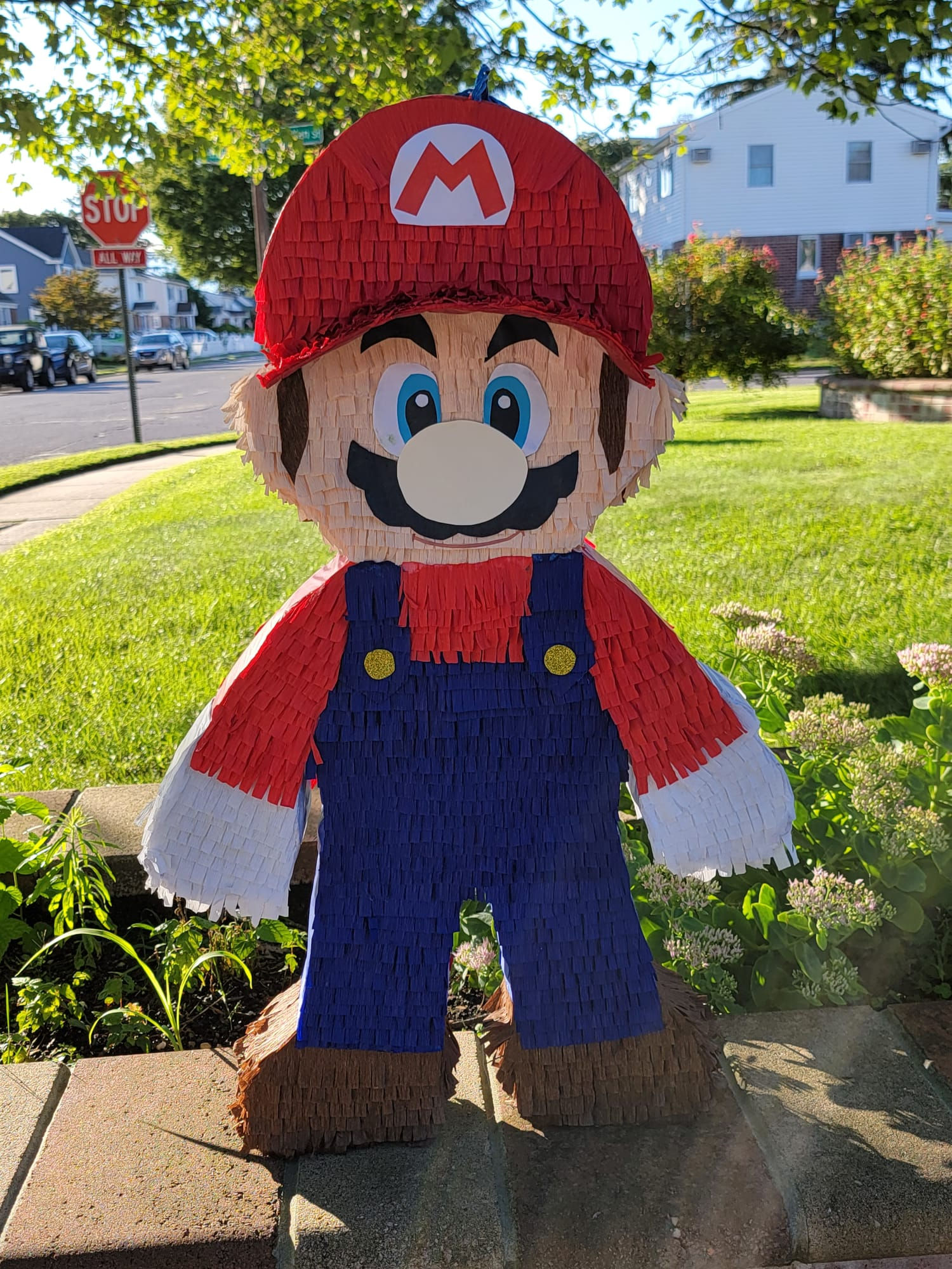Mario Bross