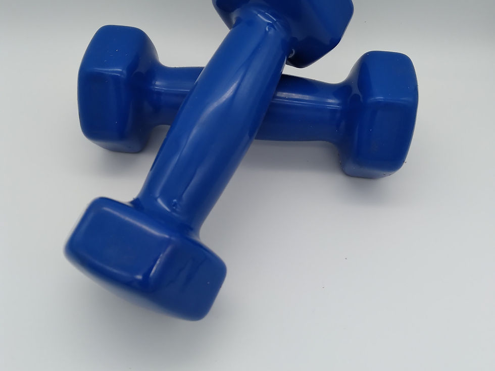 Thumbnail: Dumbbells 1Kg - Pair