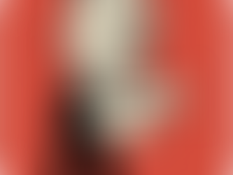 ¿Diseñador Gráfico de planta o Despacho Externo?