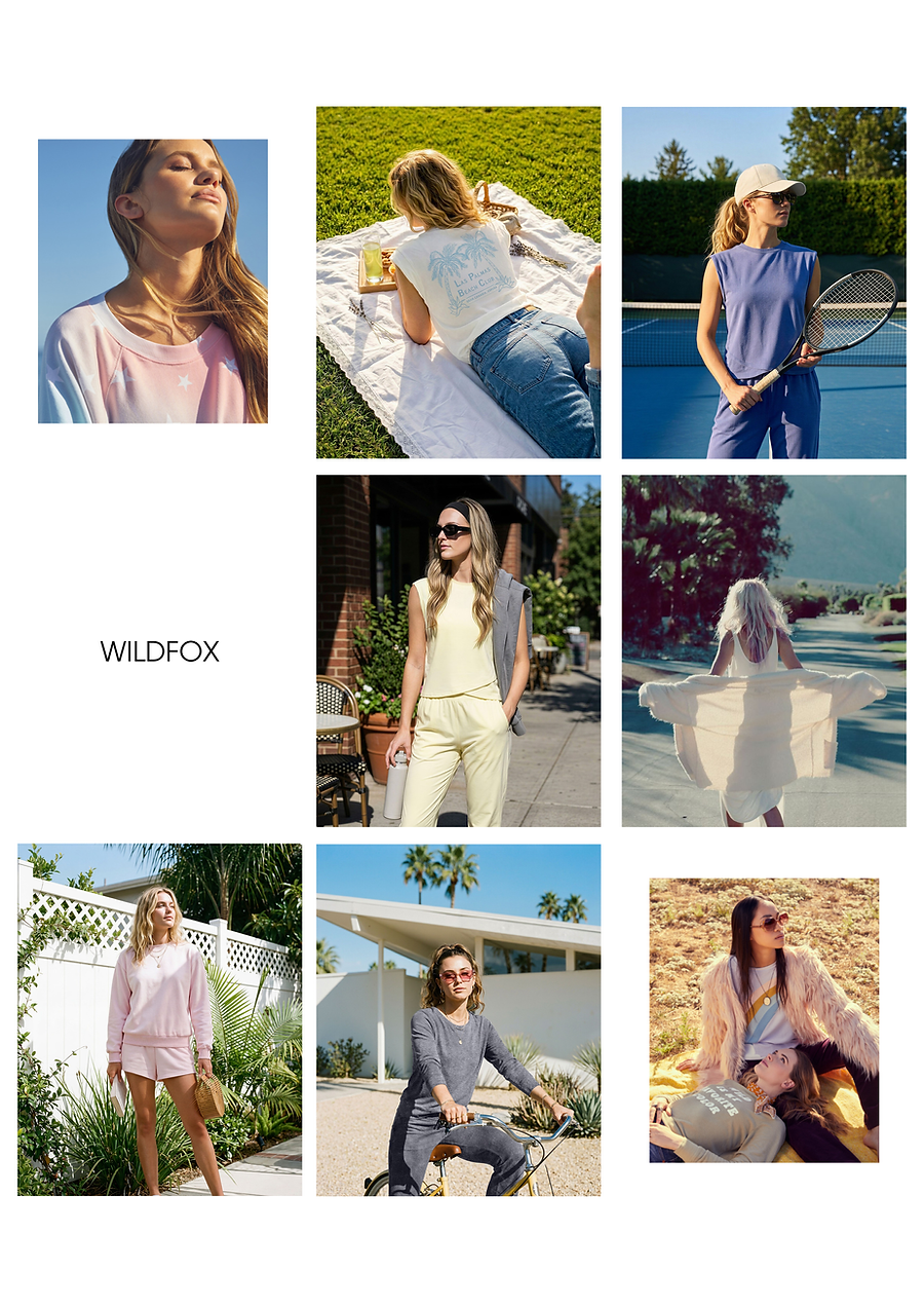 wildfox (6).png