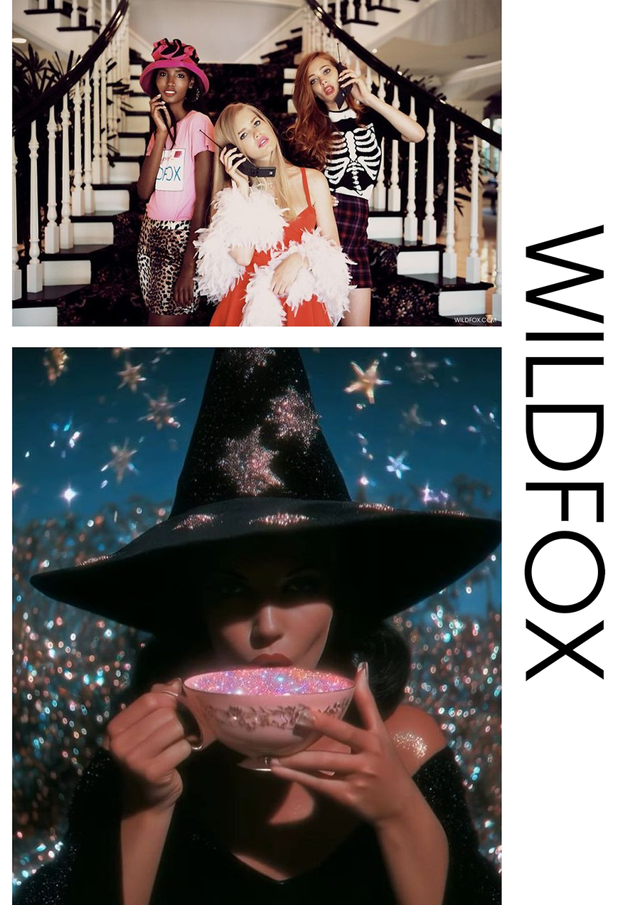 wildfox (15).png