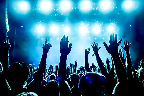 silhouettes of concert crowd in front of