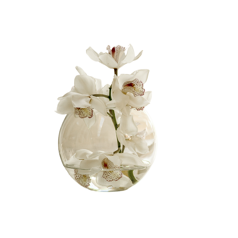 "A collection of vases, flower vases, and planter vases arranged on a modern wooden table"