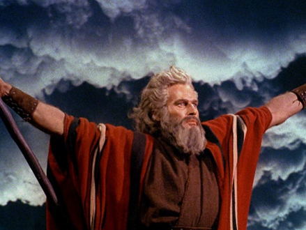 THE HILARIOUS COVID-19 PANDEMIC