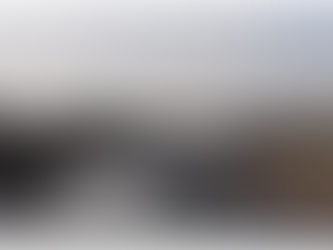 THE HILARIOUS COVID-19 PANDEMIC-Connecticut