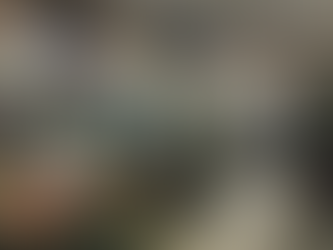 THE HILARIOUS COVID-19 PANDEMIC               2020 Sucked and I Blame the Democrats 