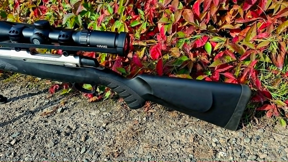 Thumbnail: SAKO A7S .243 Stainless Package