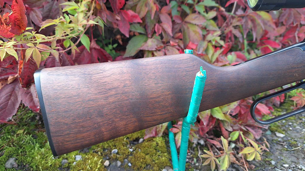 Thumbnail: Winchester Model 94AE .44 Rem Mag