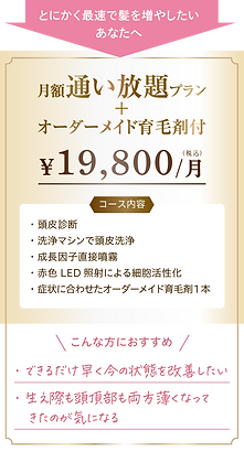 薄毛や抜け毛で悩む女性のための育毛サロンGAGAHIRANOの育毛メニュー