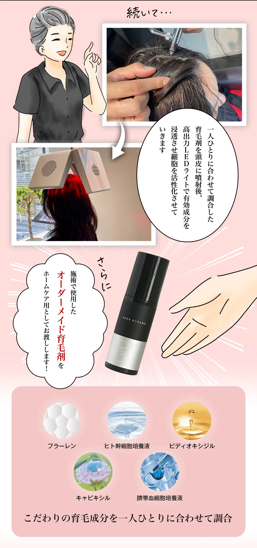 育毛ケア通い放題プラン マンガ説明